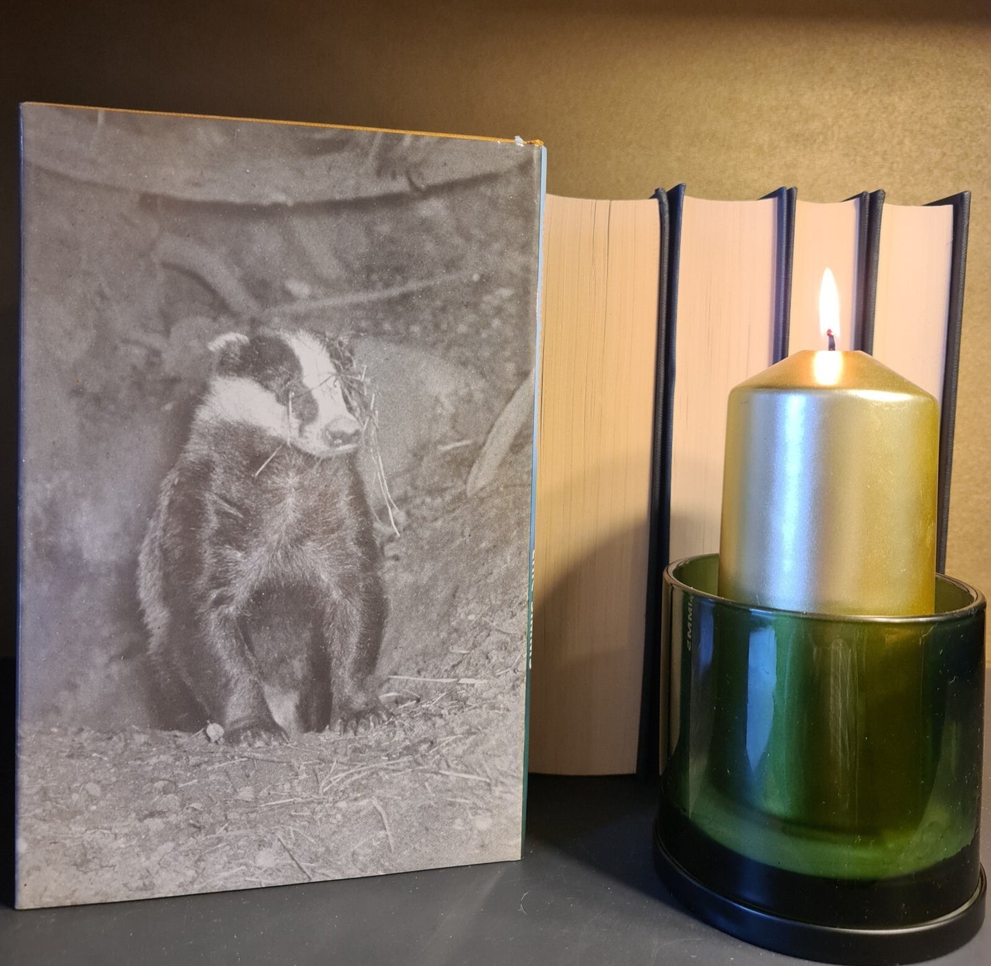 Wildlife Sounds & Their Recording, E. Simms: Hardback: 1st Edition