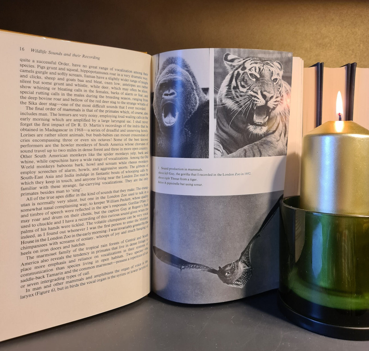 Wildlife Sounds & Their Recording, E. Simms: Hardback: 1st Edition