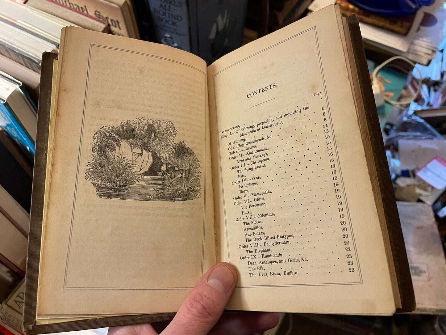 Taxidermist's Manual, Or the Art of Collecting, Preparing, and Preserving Objects of Natural History. By Captain Thomas Brown 1849