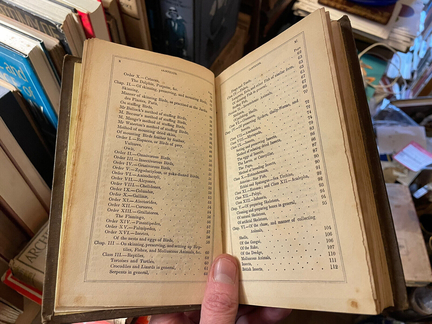 Taxidermist's Manual, Or the Art of Collecting, Preparing, and Preserving Objects of Natural History. By Captain Thomas Brown 1849