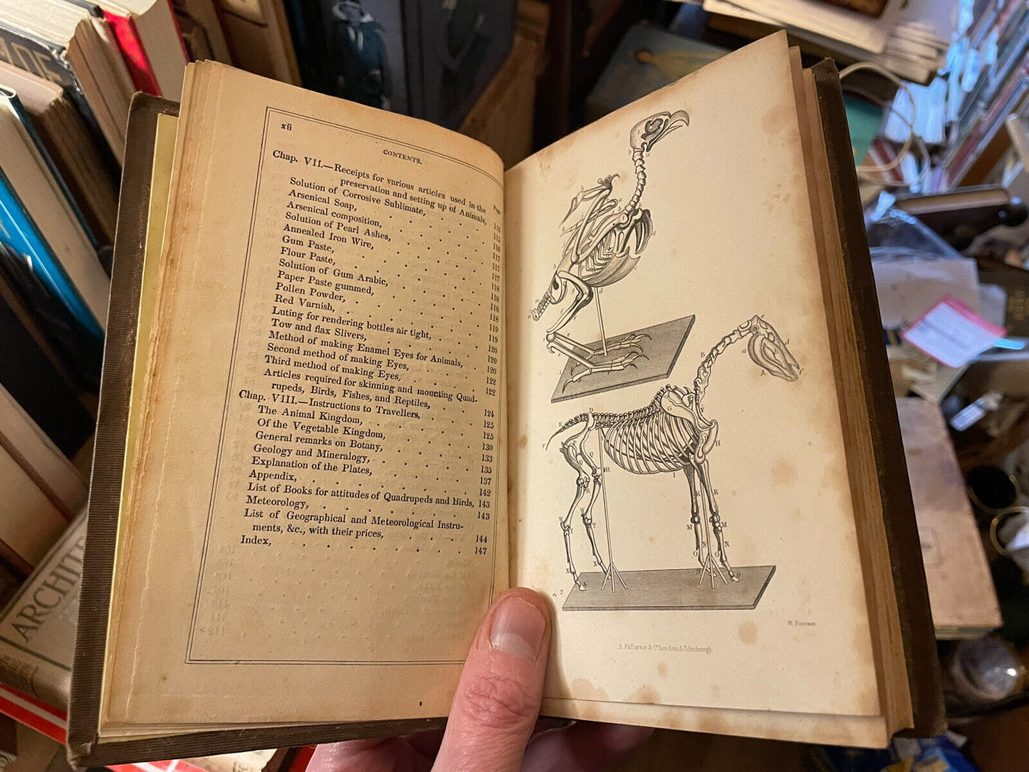 Taxidermist's Manual, Or the Art of Collecting, Preparing, and Preserving Objects of Natural History. By Captain Thomas Brown 1849