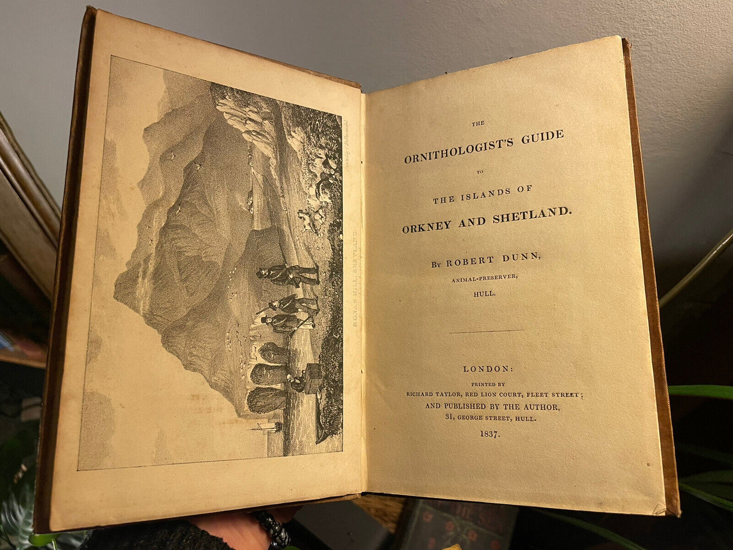 1837 Ornithologists Guide to the Islands of Orkney & Shetland : Robert Dunn