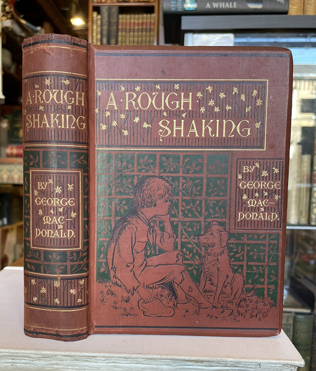1891 George Macdonald : A Rough Shaking : First Edition Illustrated