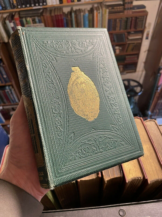 1861 Wade's History of St Marys Abbey Melrose : Monastery : History Scotland