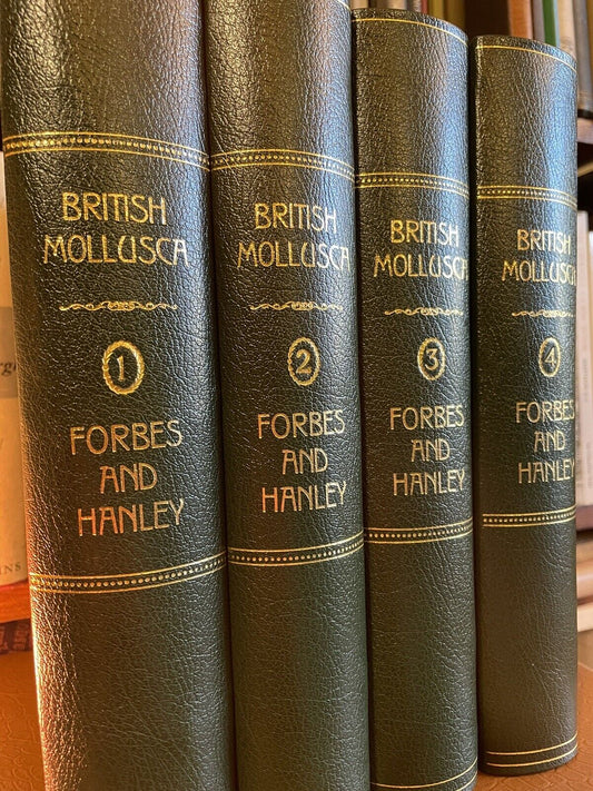1853 History of British Mollusca and Their Shells : Forbes & Hanley (4 Volumes)