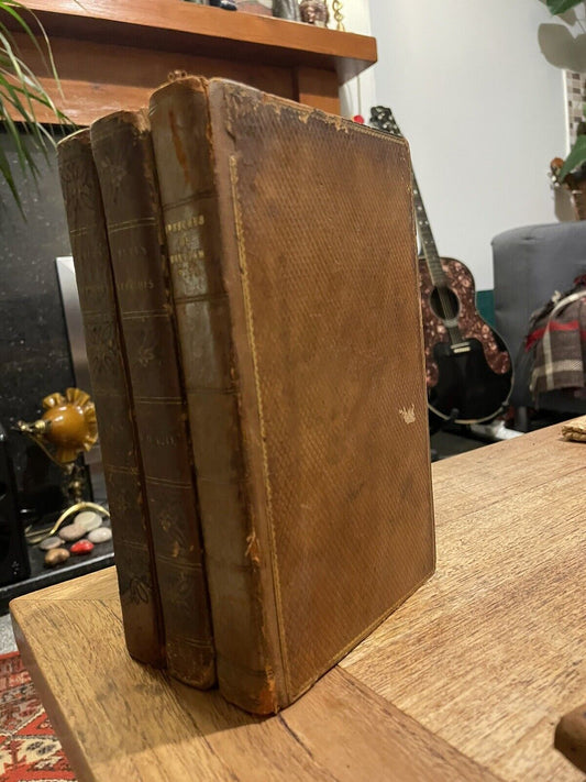 1808 The Speeches of William Pitt in the House of Commons (3 Vols) UK Politics