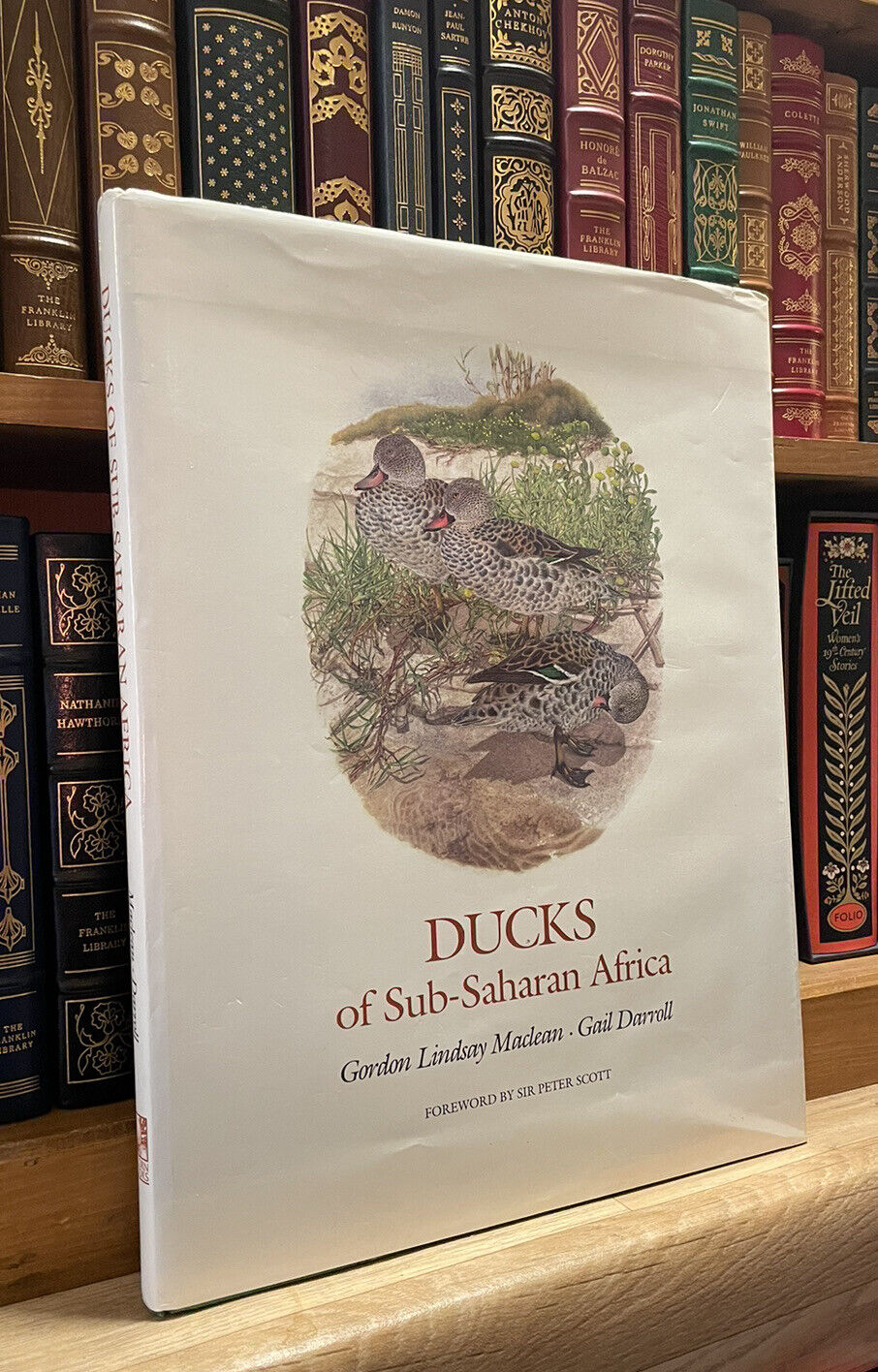 Maclean & Darroll's Ducks of Sub-Saharan Africa : Ltd Ed Folio : Ornithology