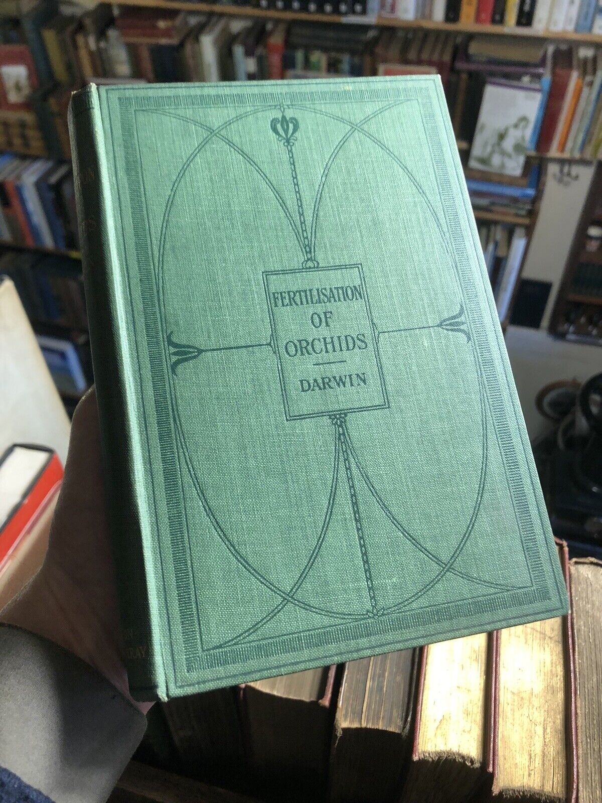 1904 Charles Darwin : Fertilisation of Orchids by Insects : Natural History VGC