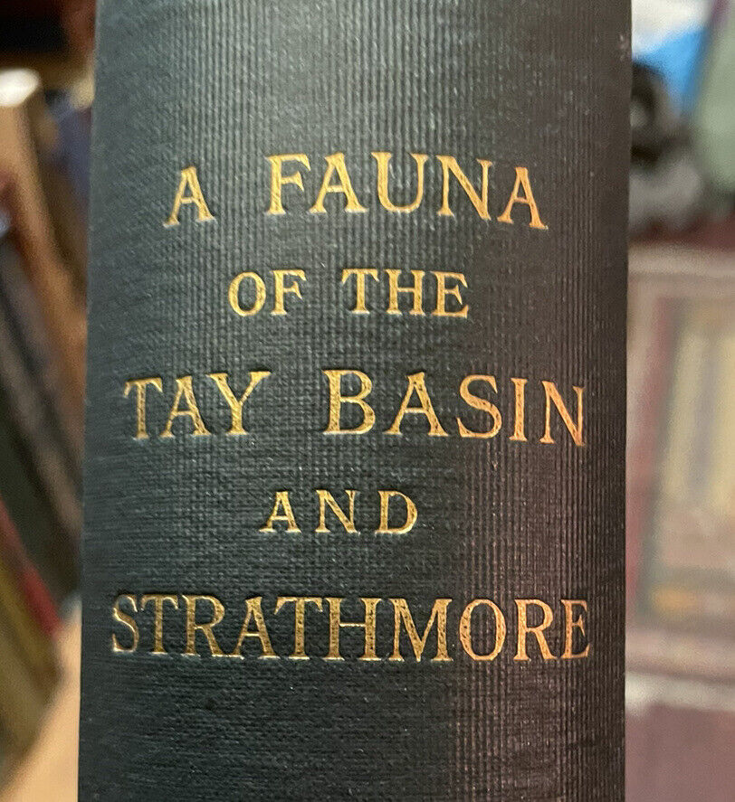 A Fauna of the Tay Basin & Strathmore : Harvie-Brown : Scotland Natural History