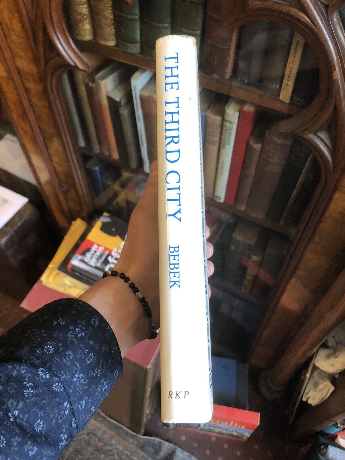 Borna Bebek : The Third City : Philosophy at War with Positivism (Hardback) 1982