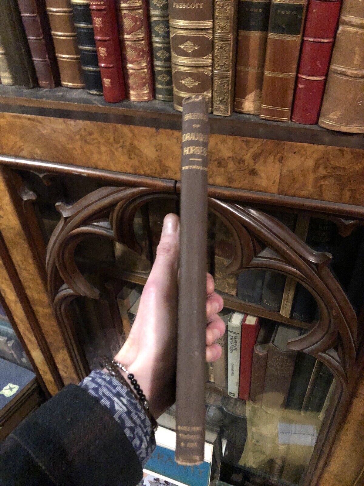 1882 Breeding & Management of Draught Horses - Working Horse Farming Agriculture