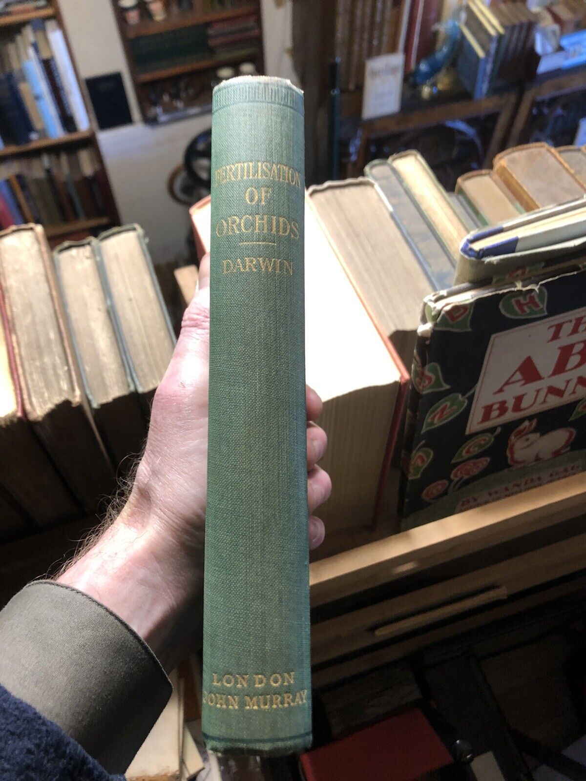 1904 Charles Darwin : Fertilisation of Orchids by Insects : Natural History VGC