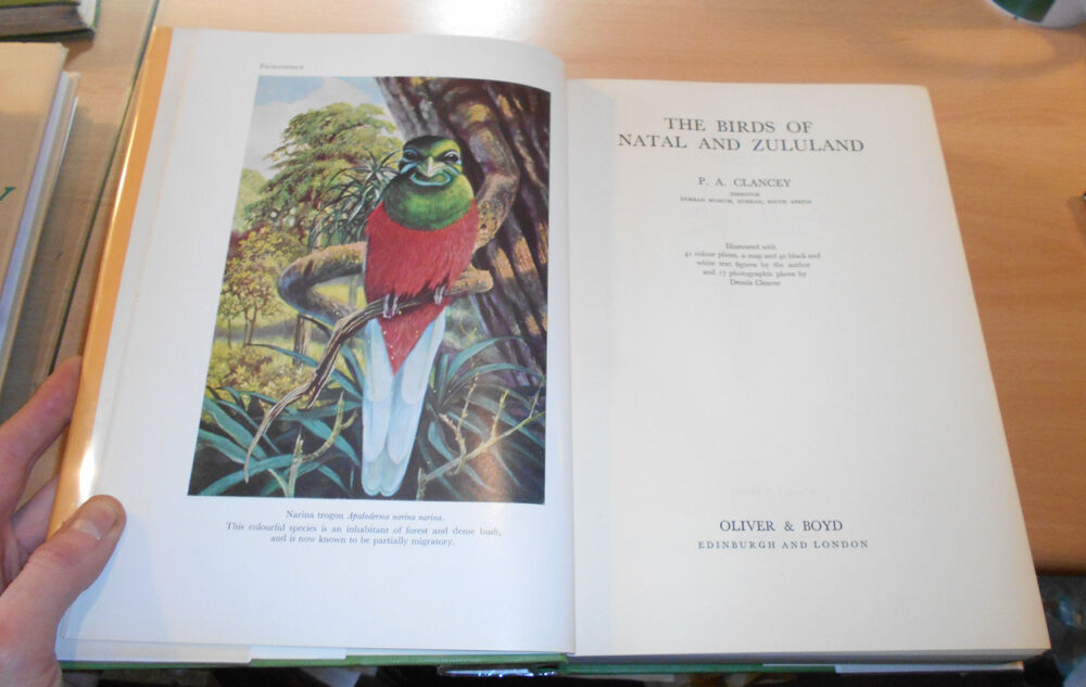 1964 Birds of Natal & Zululand / Ornithology South Africa / Avian Exploration
