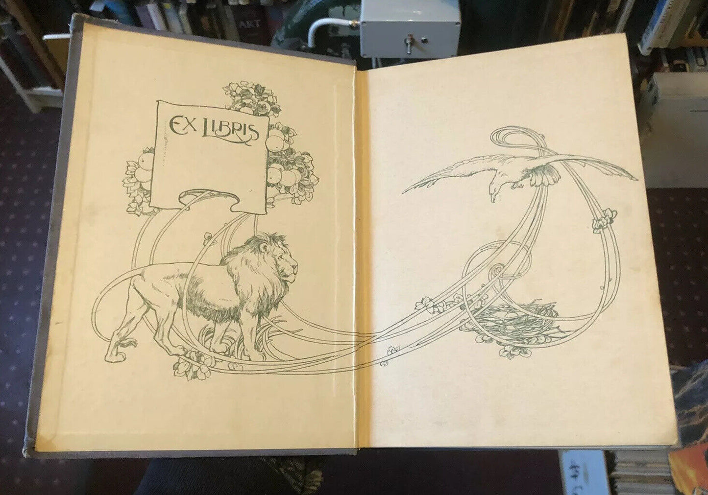 Wood's A Natural History For Young People (300 illustrations) Colour Plates 1909