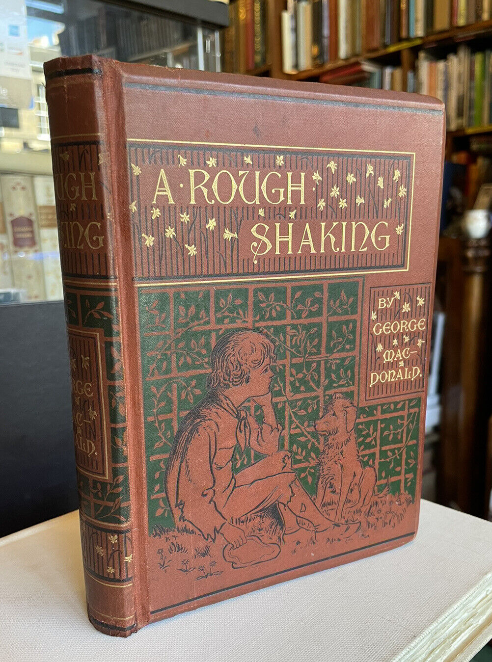 1891 George Macdonald : A Rough Shaking : First Edition Illustrated