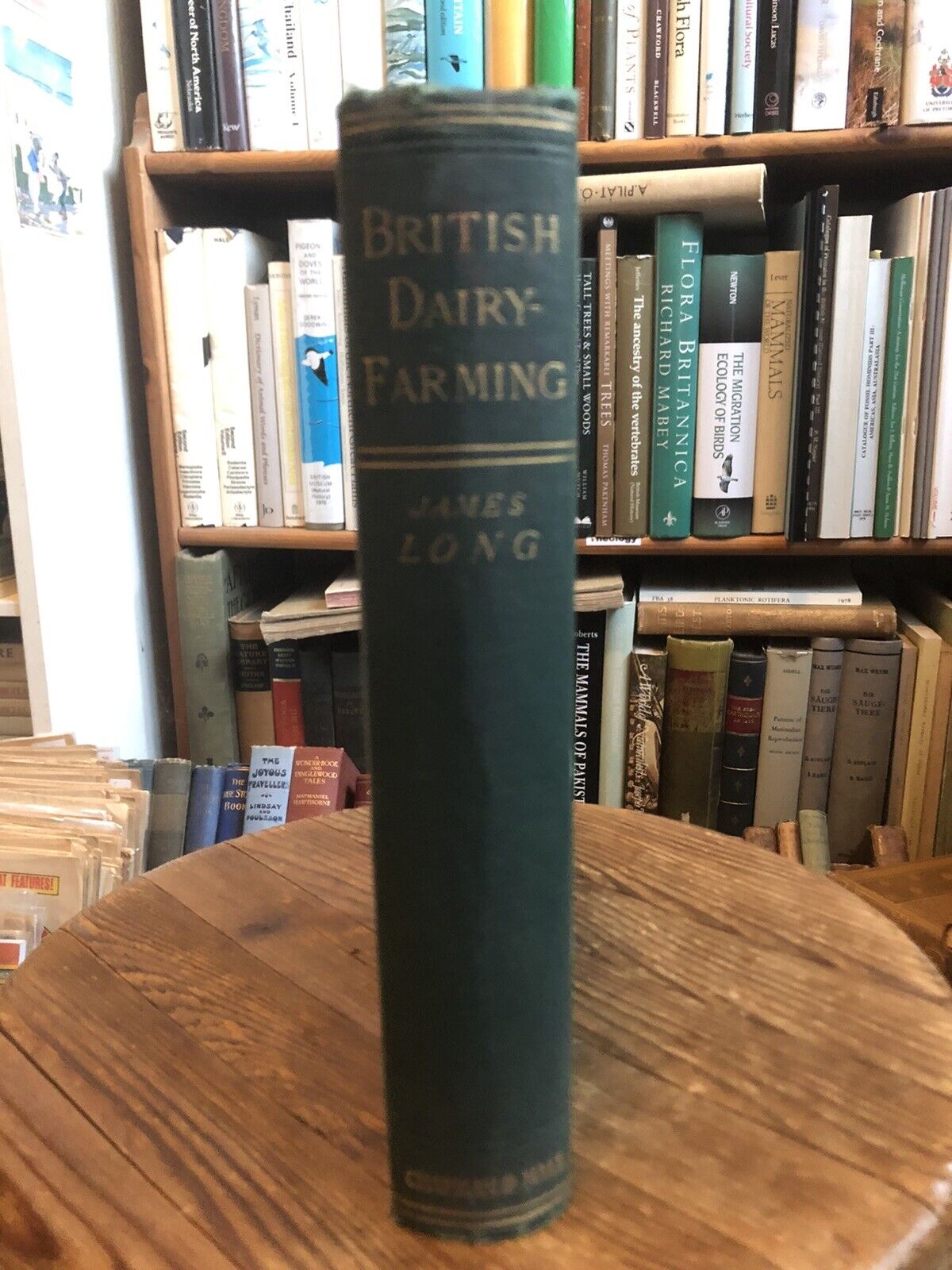 1885 BRITISH DAIRY FARMING James Long MILK CREAM BUTTER CHEESE CURDS & WHEY