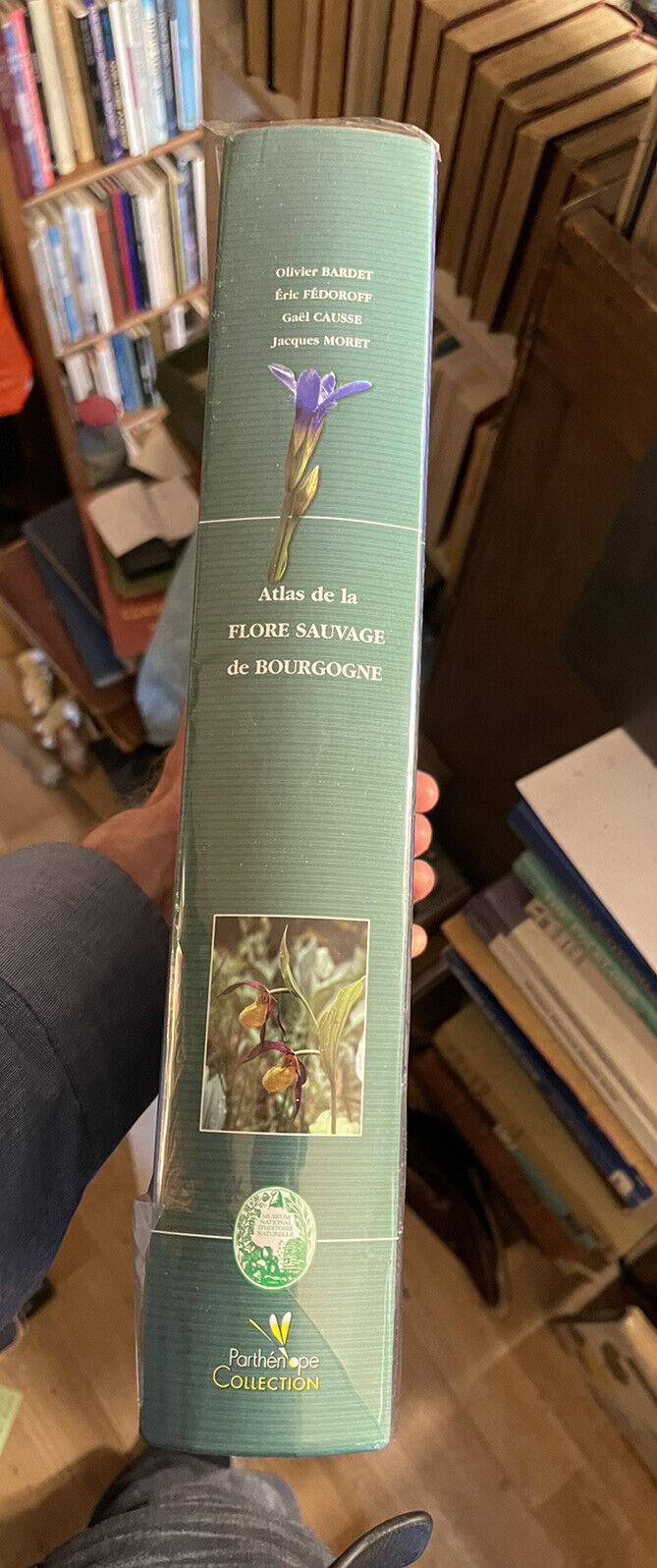ATLAS DE LA FLORE SAUVAGE DE BOURGOGNE French Botany FLORA Plants