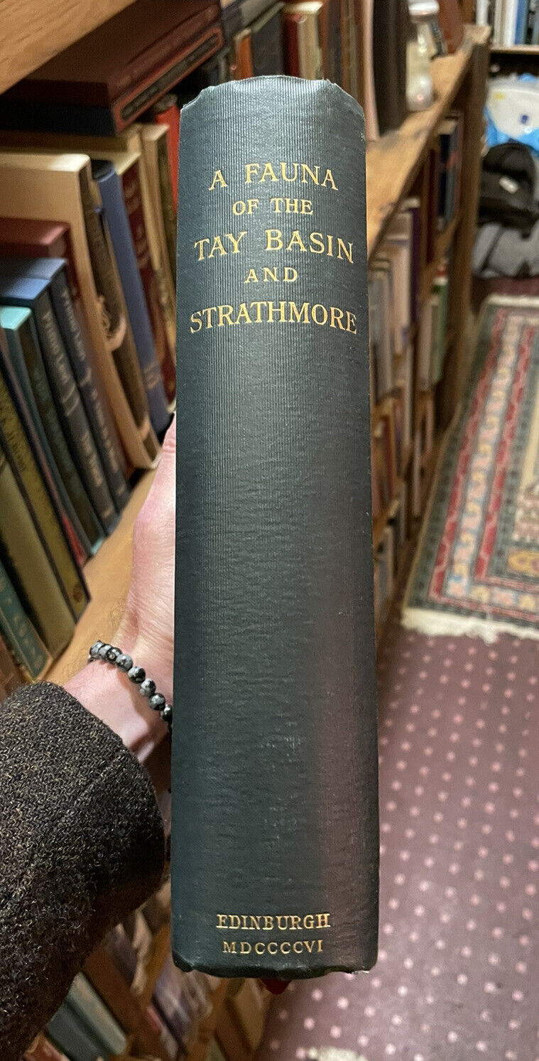 A Fauna of the Tay Basin & Strathmore : Harvie-Brown : Scotland Natural History