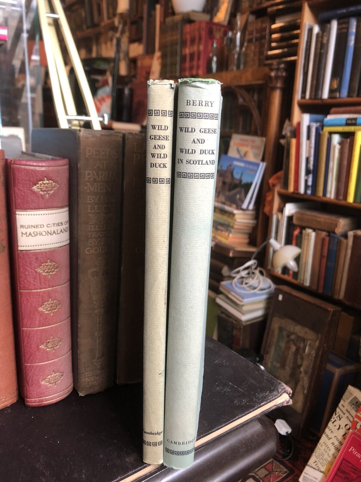 1939 Distribution of Wild Geese and Wild Duck in Scotland (2 vols) Ornithology