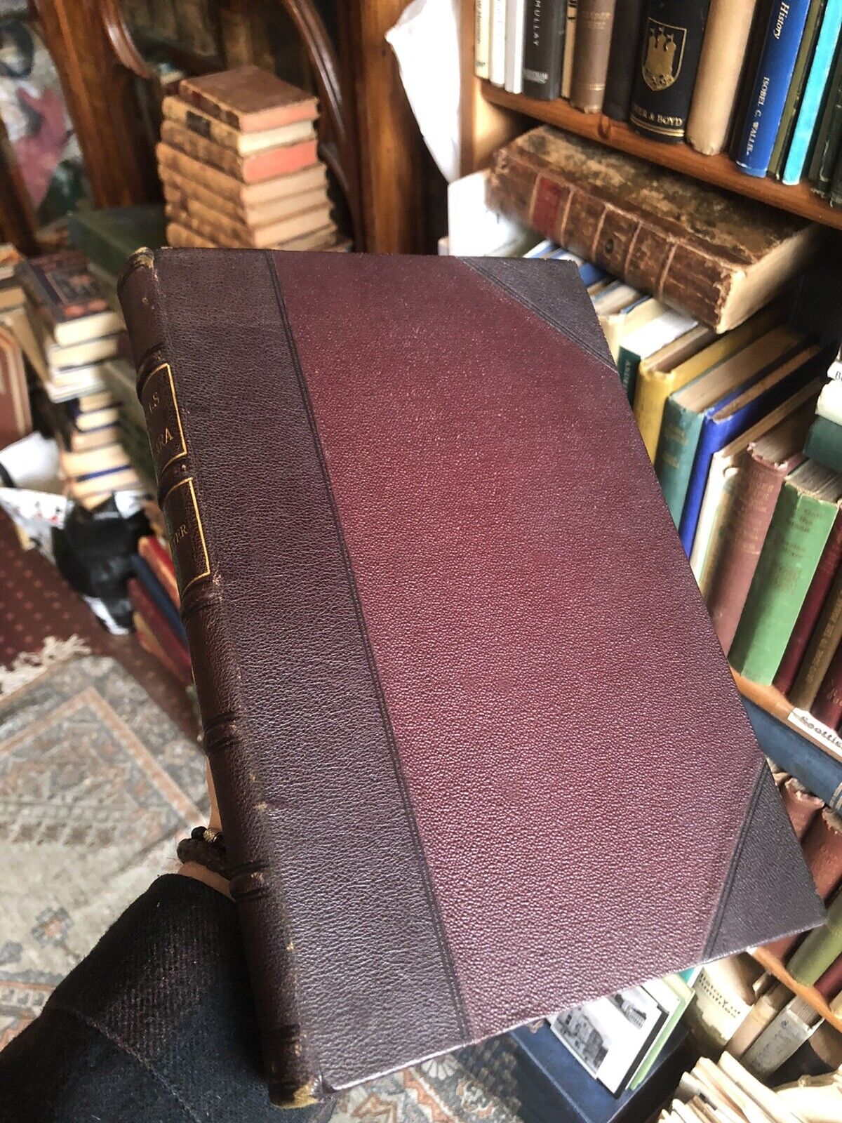 Spencer's Falls of Niagra : Evolution and Relations to the Great Lakes 1907