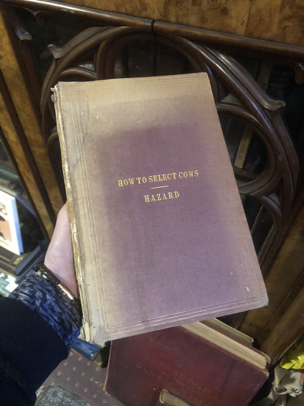 1882 HOW TO SELECT COWS The Guenon System Simplified FARMING CATTLE Agriculture