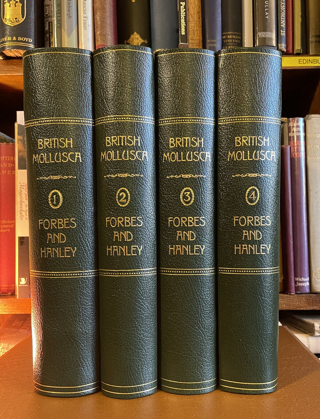 1853 History of British Mollusca and Their Shells : Forbes & Hanley (4 Volumes)