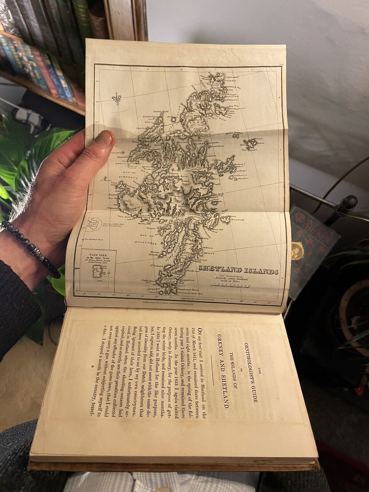 1837 Ornithologists Guide to the Islands of Orkney & Shetland : Robert Dunn