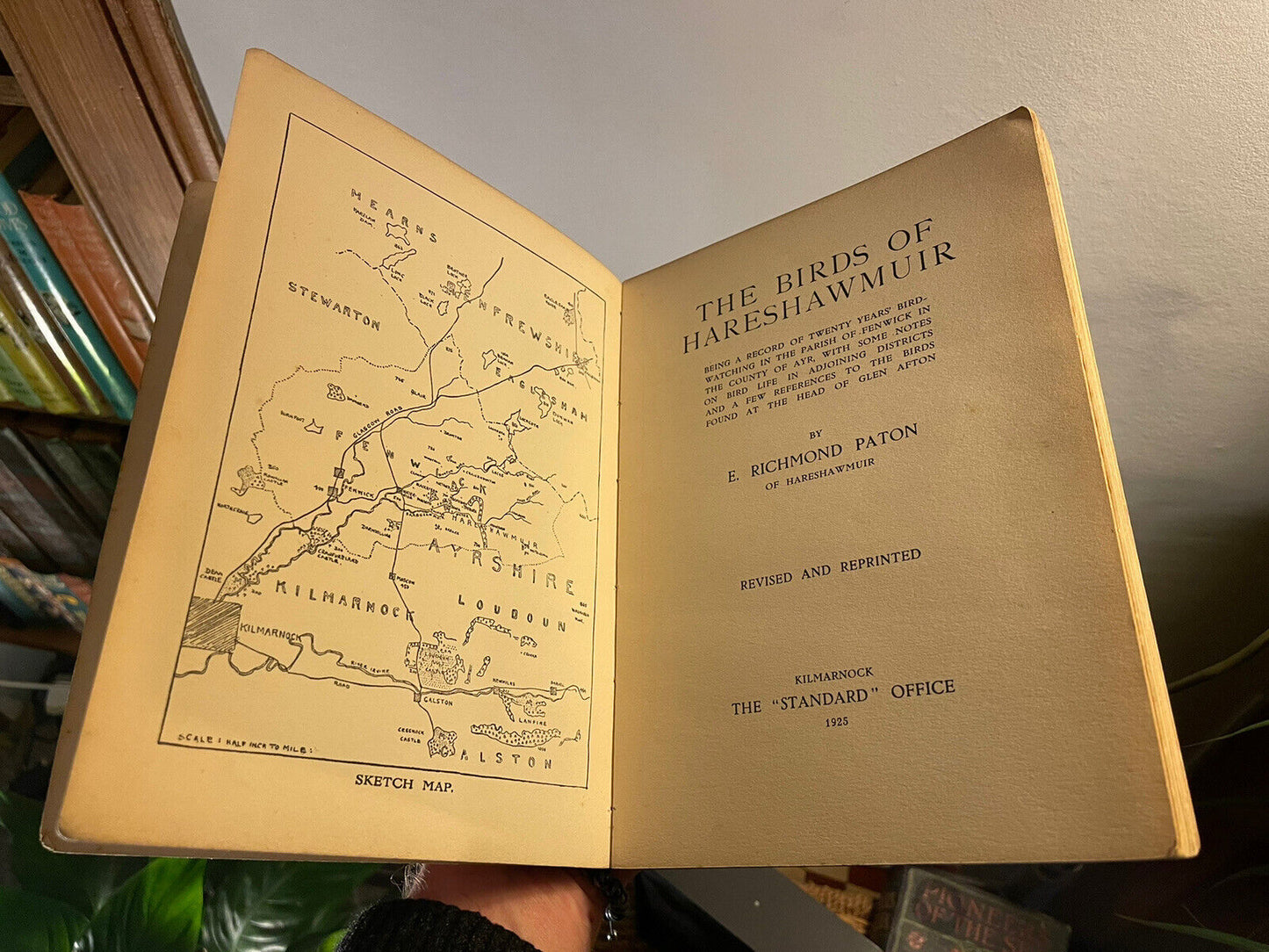 Paton's The Birds of Hareshawmuir : Parish of Fenwick : Glen Afton : Ornithology
