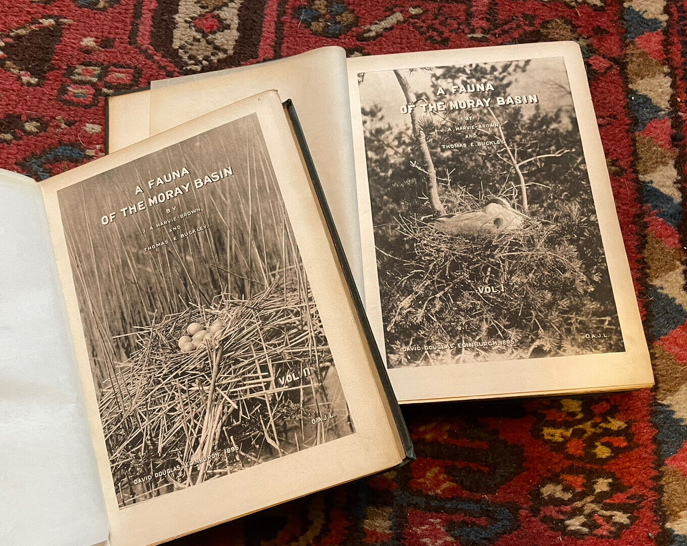 1895 A Fauna of the Moray Basin : Harvie-Brown & Buckley : Scotland Nature