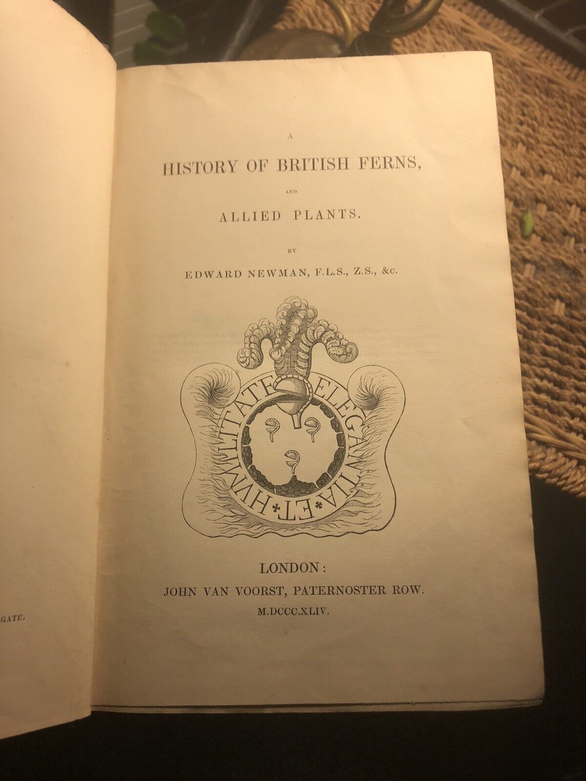 1844 : BRITISH FERNS and ALLIED PLANTS Edward Newman ILLUSTRATED Botany