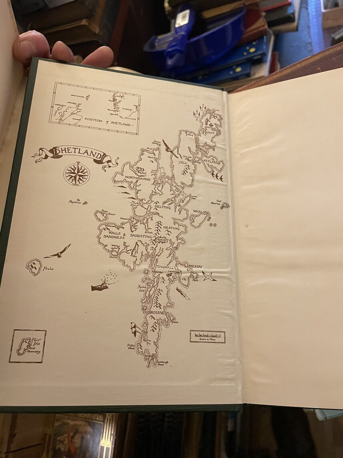 Birds and Mammals of Shetland : Venables : Natural History Scotland 1955
