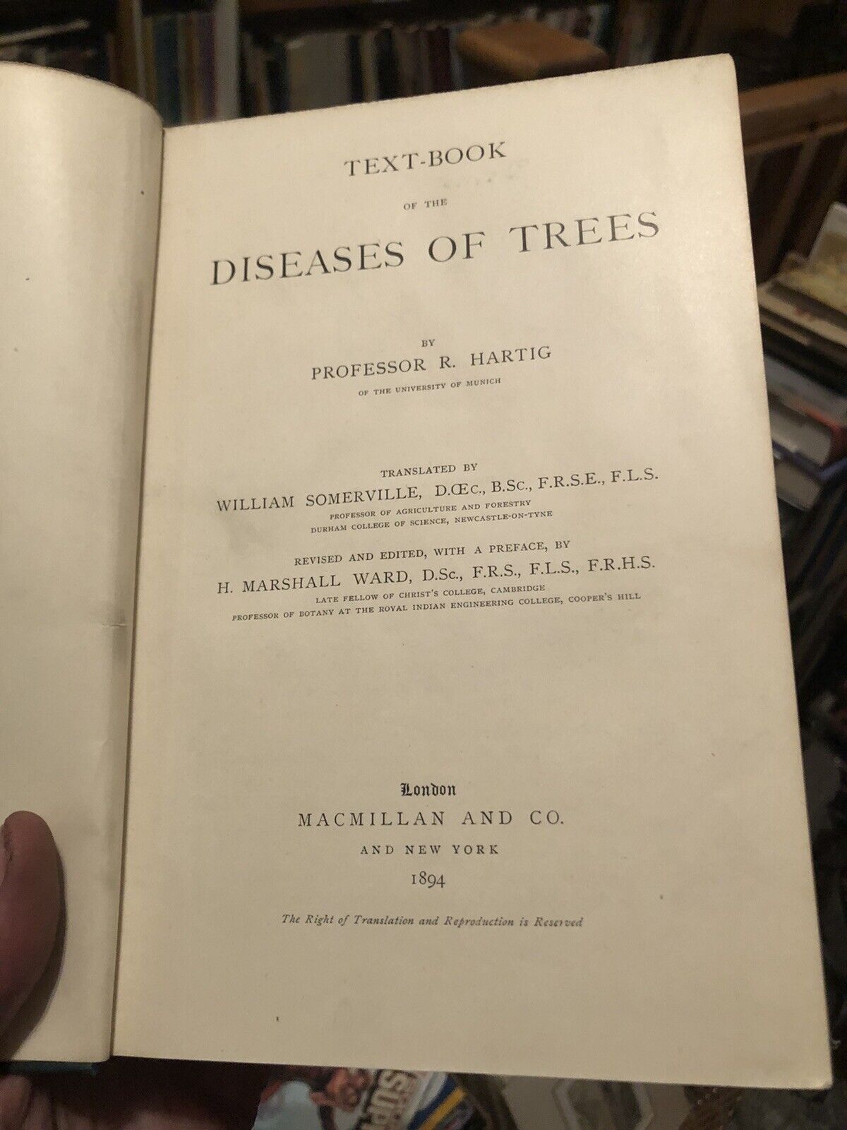 1894 Diseases of Trees - Forestry Management - Dendrology - Pests