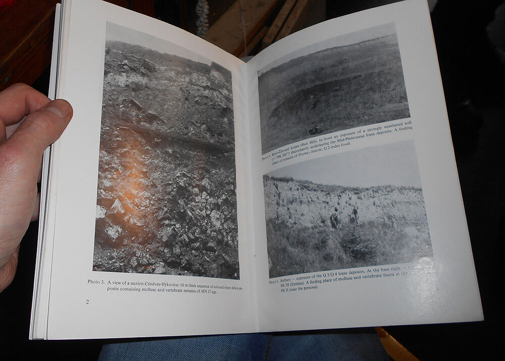 Palaeozoology and the Mid-European Quaternary Past - Palaeontology