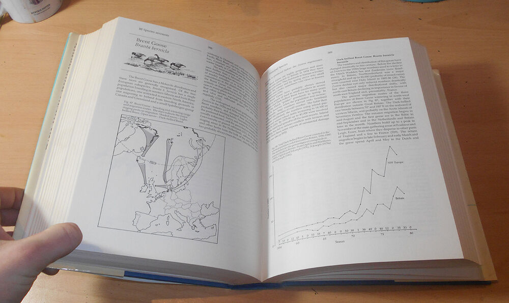 Wildfowl in Great Britain - Ornithology - BIRD RINGING - Conservation - 1986