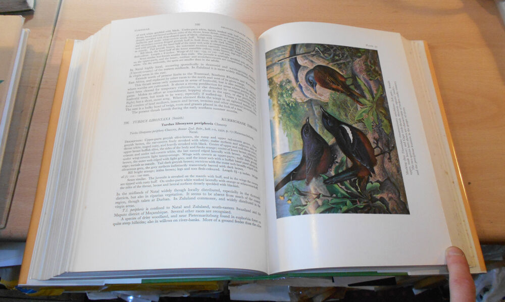 1964 Birds of Natal & Zululand / Ornithology South Africa / Avian Exploration