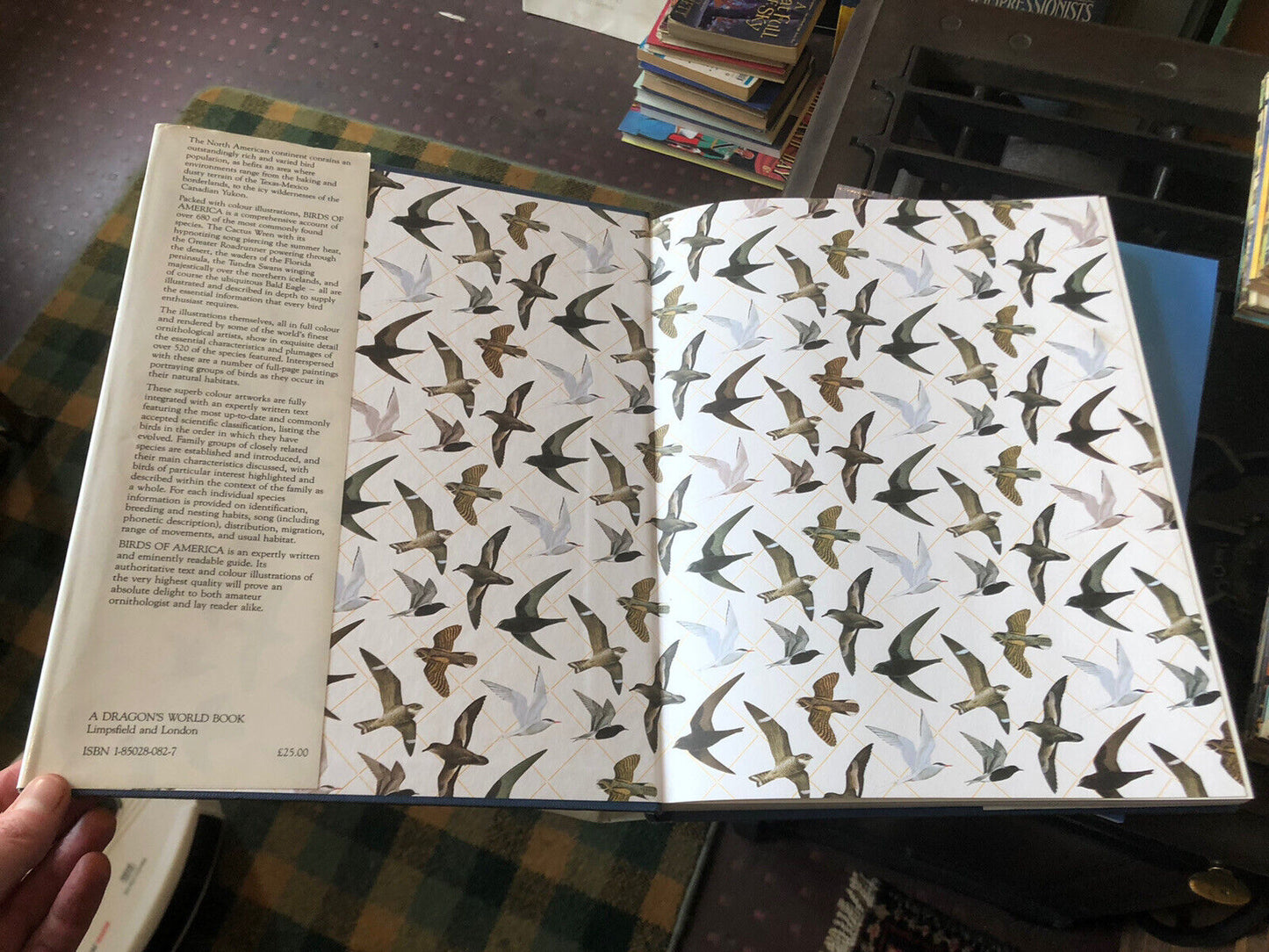 BIRDS OF AMERICA Frank Shaw : 520 Species Featured ORNITHOLOGICAL ARTISTS