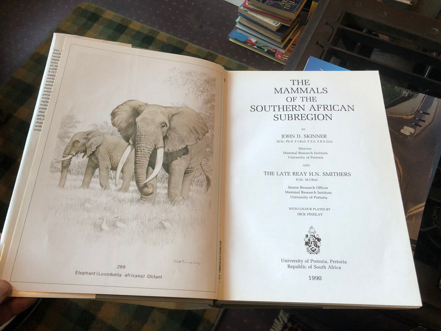 Mammals of the Southern African Subregion : Africa Natural History : Skinner