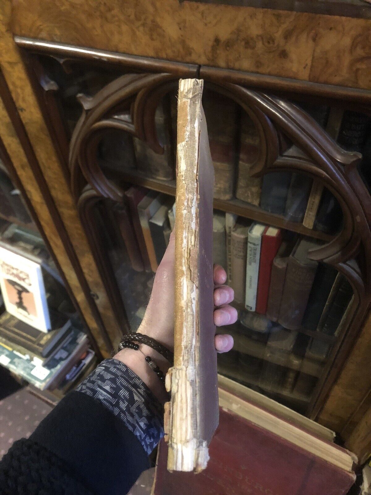 1882 HOW TO SELECT COWS The Guenon System Simplified FARMING CATTLE Agriculture