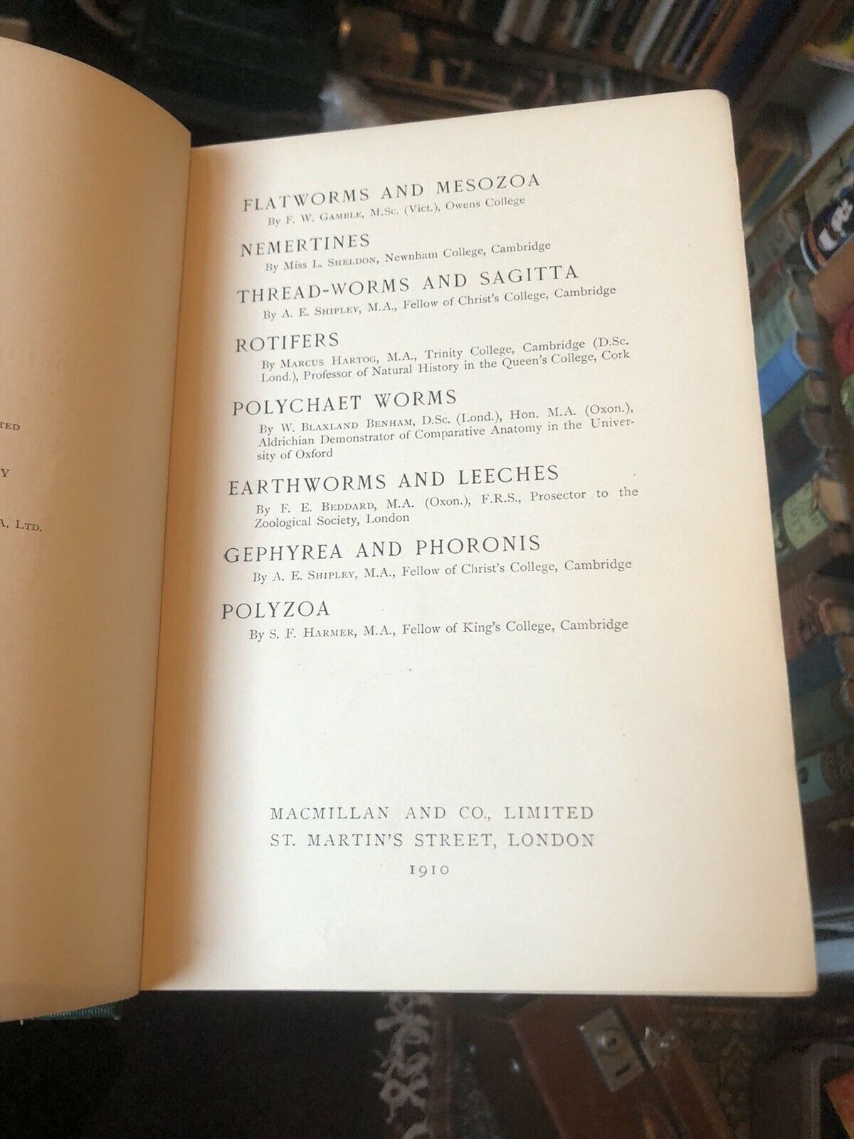 Flatworms & Mesozoa / Nemertines / Rotifers / Earthworms & Leeches / Worms