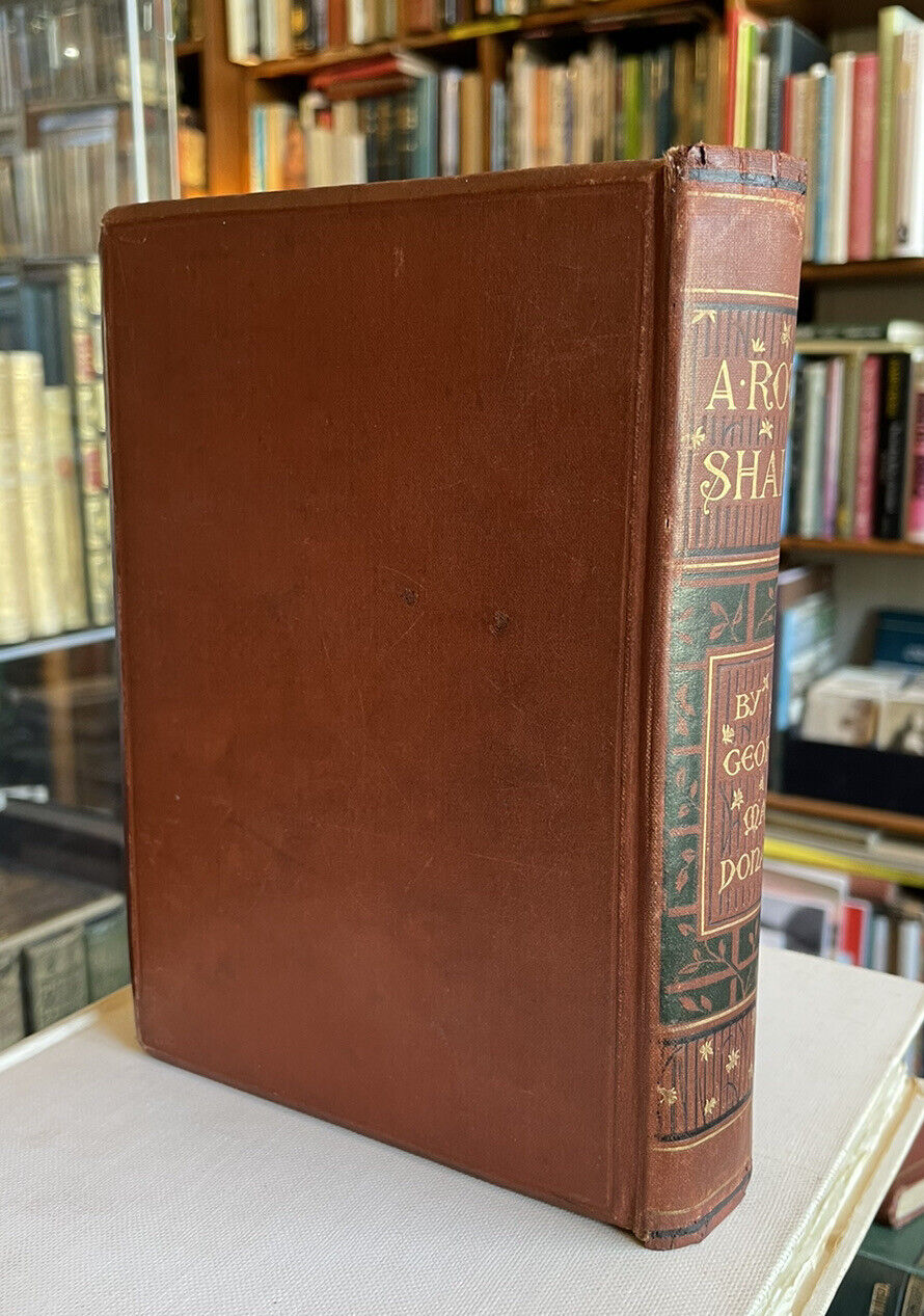 1891 George Macdonald : A Rough Shaking : First Edition Illustrated