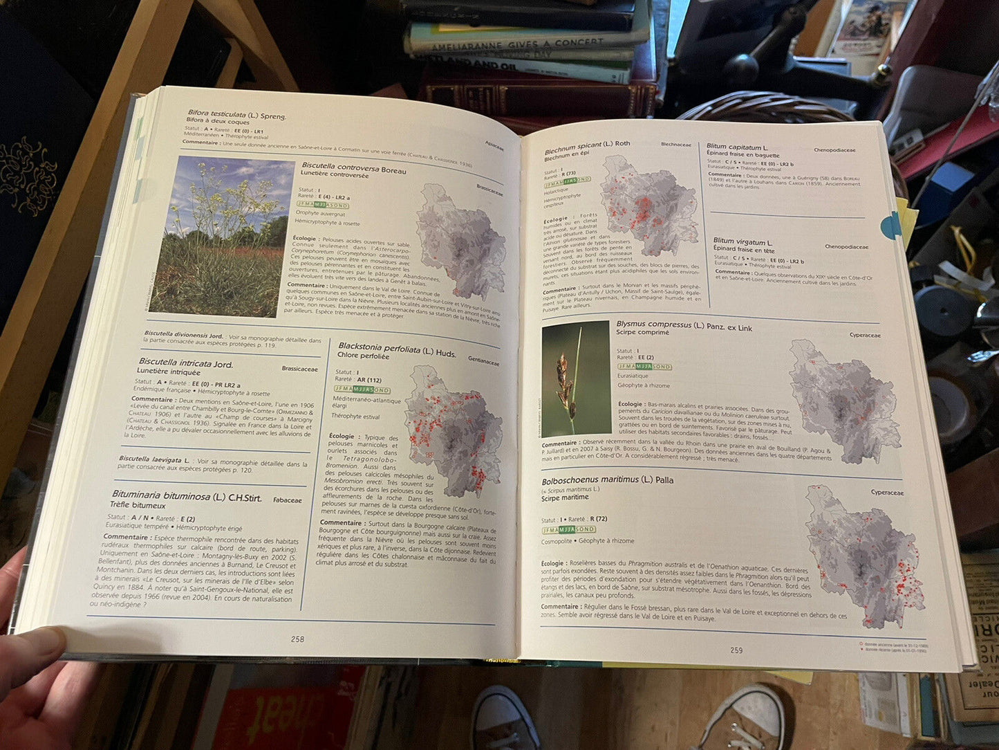 ATLAS DE LA FLORE SAUVAGE DE BOURGOGNE French Botany FLORA Plants