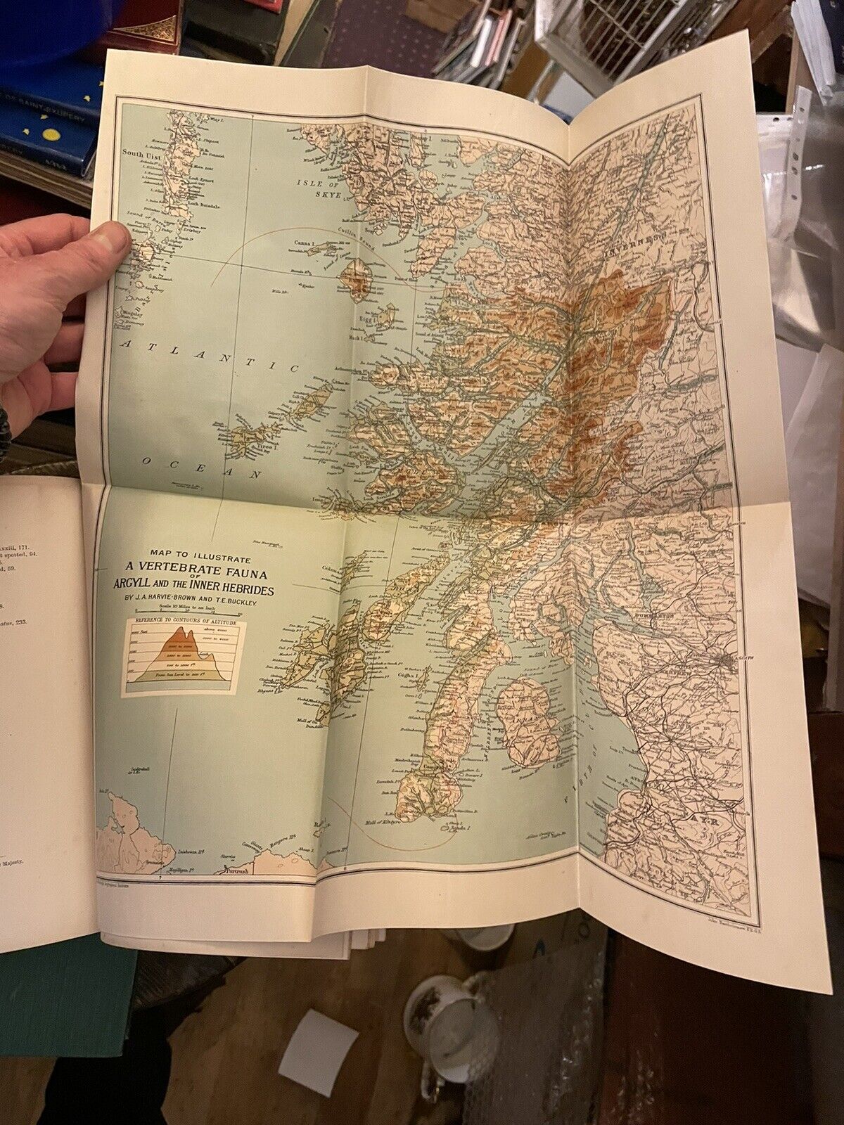 1892 Vertebrate Fauna of Argyll and the Inner Hebrides : Harvie-Brown & Buckley