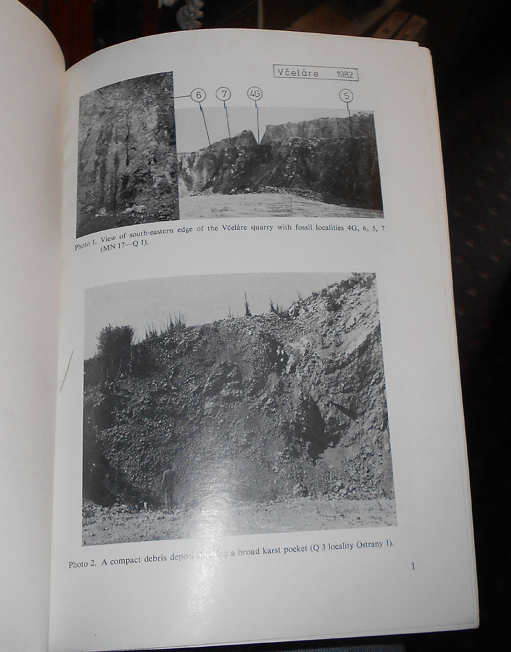 Palaeozoology and the Mid-European Quaternary Past - Palaeontology