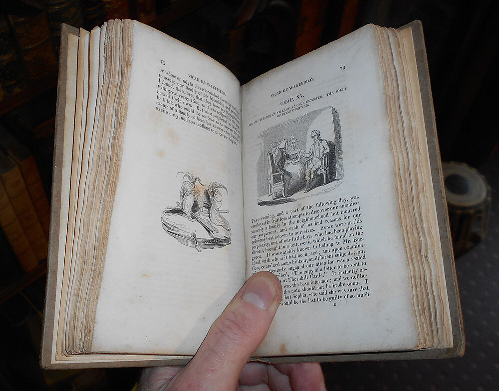 1829 - The Vicar of Wakefield - Oliver Goldsmith - Early 19th Century Copy