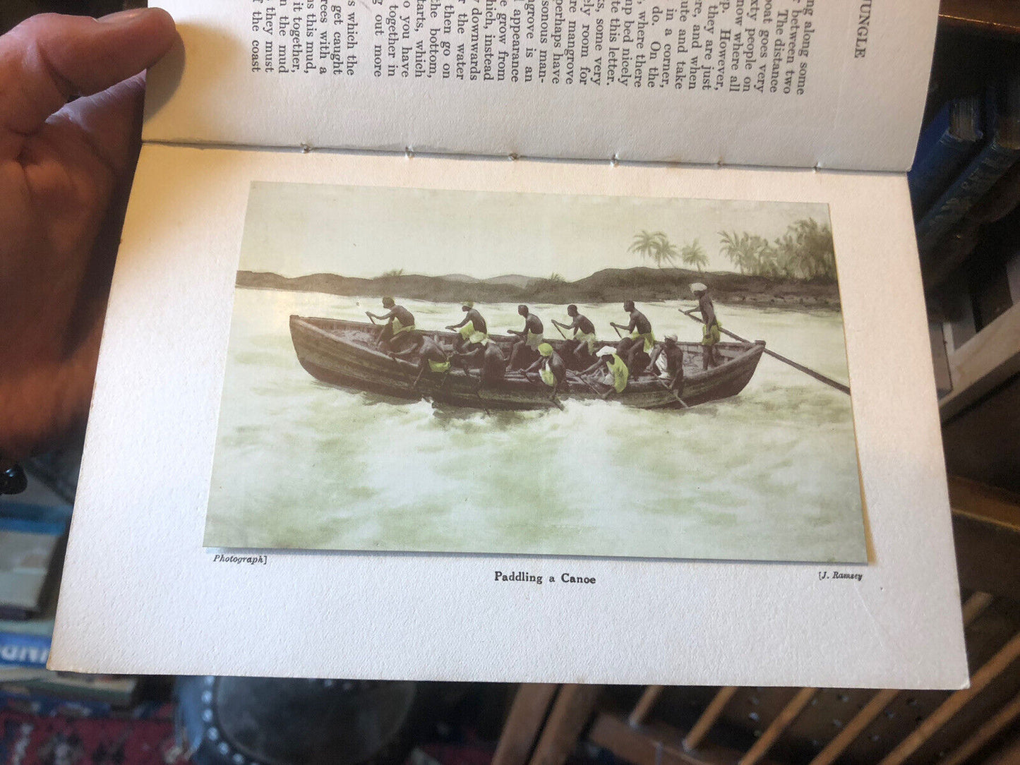 1928 Tales from the African Jungle : Soldier Ants : Mangrove Swamps Africa