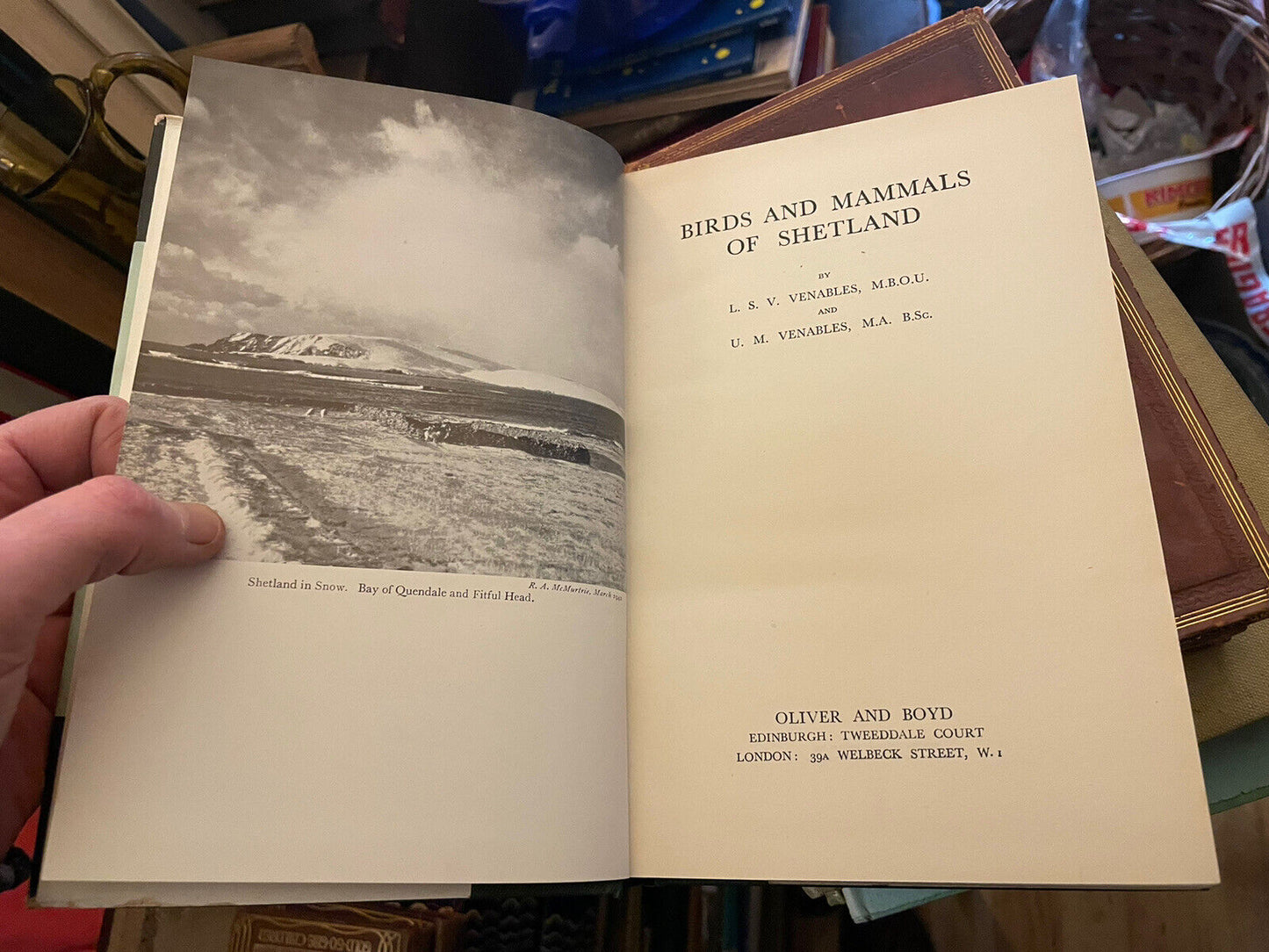 Birds and Mammals of Shetland : Venables : Natural History Scotland 1955