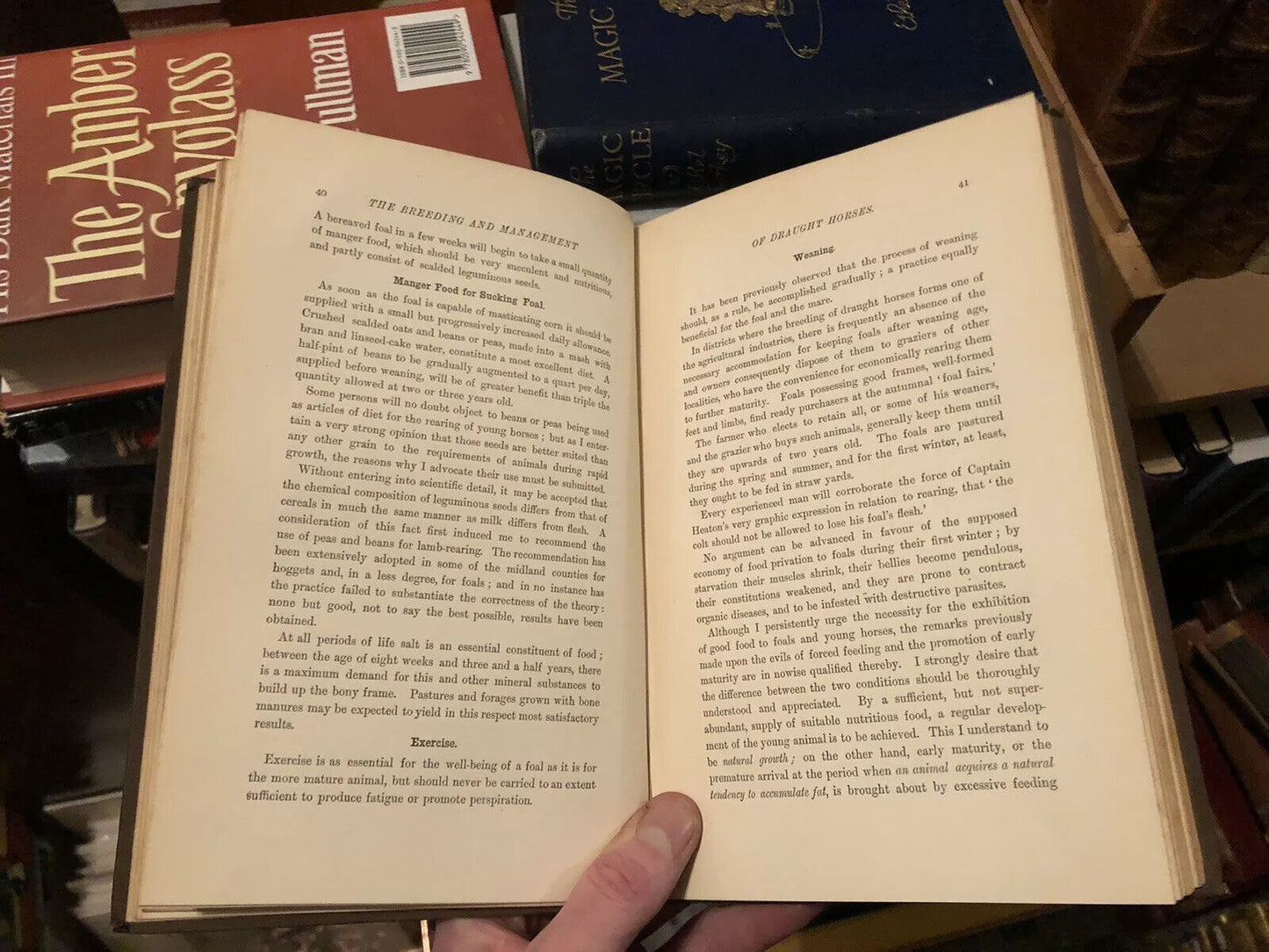 1882 Breeding & Management of Draught Horses - Working Horse Farming Agriculture