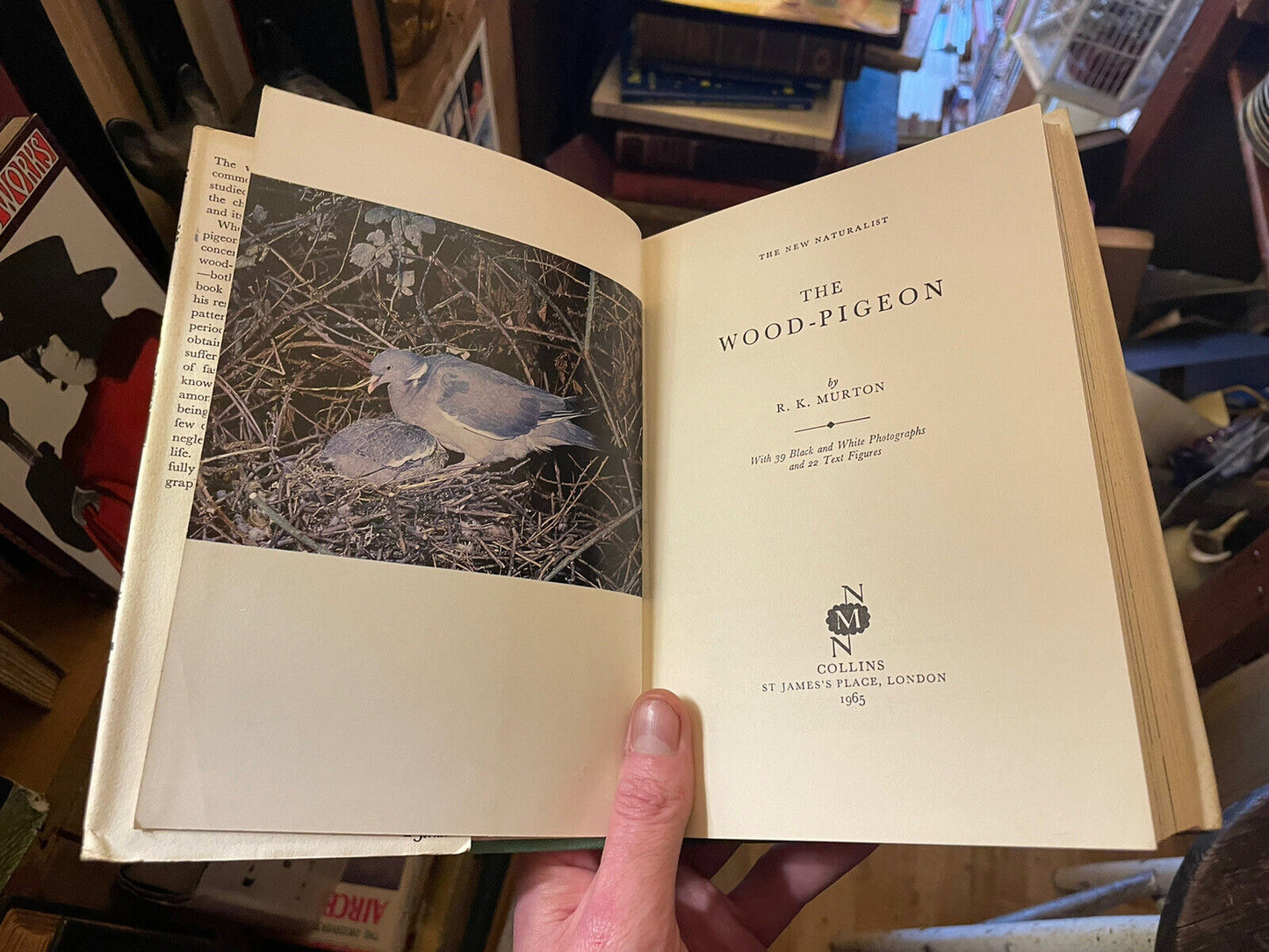 The Wood Pigeon : New Naturalist Monograph No. 20 ( NN ) R K Murton HB in DW