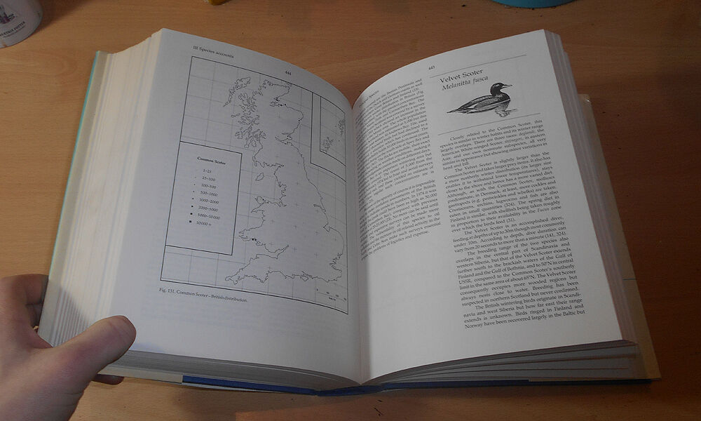 Wildfowl in Great Britain - Ornithology - BIRD RINGING - Conservation - 1986