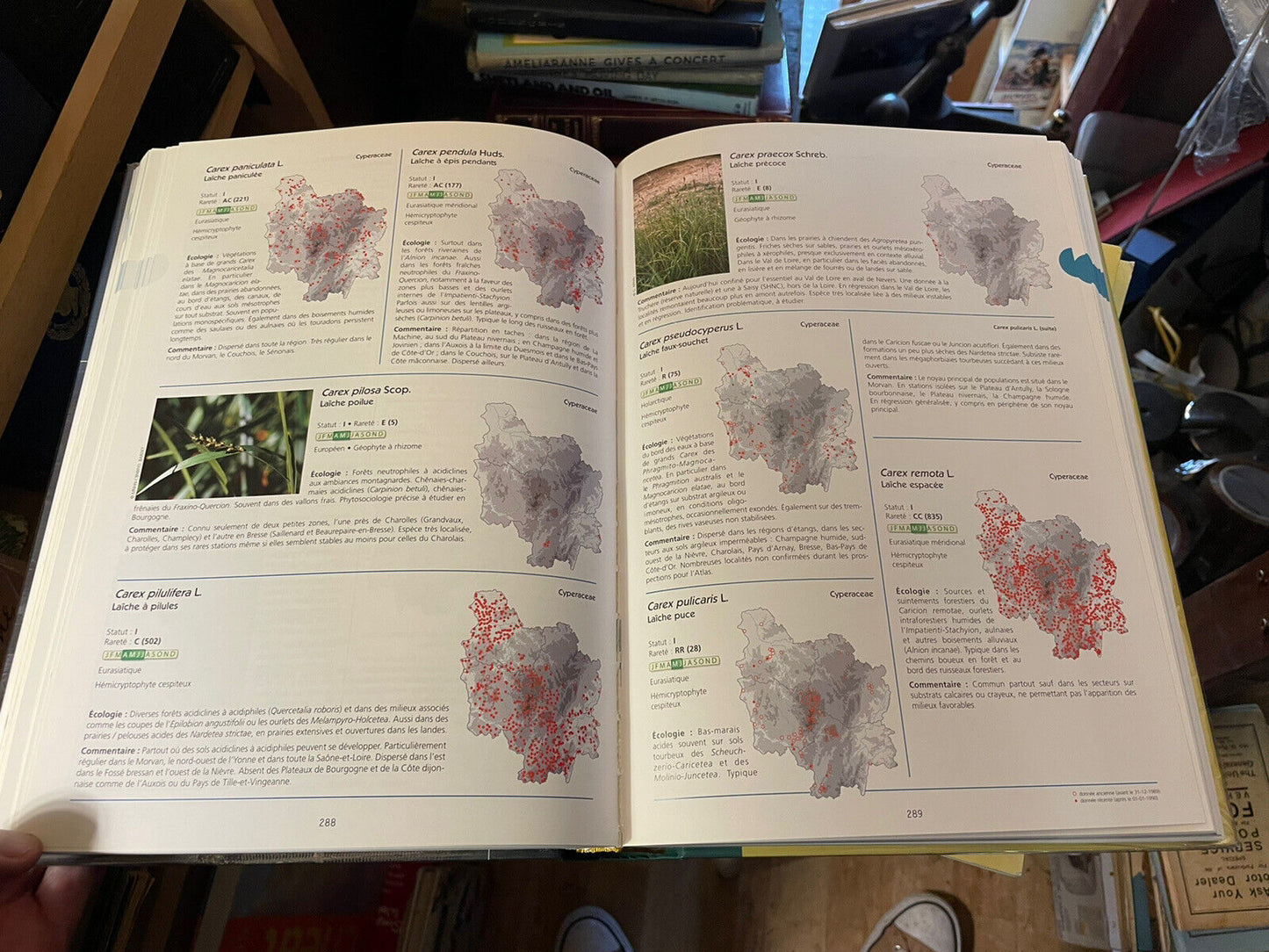 ATLAS DE LA FLORE SAUVAGE DE BOURGOGNE French Botany FLORA Plants